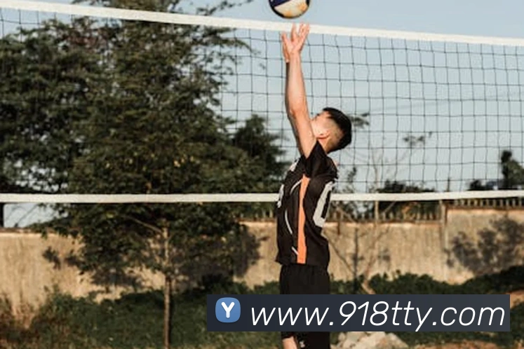 bob半岛体育官网平台平台生态图